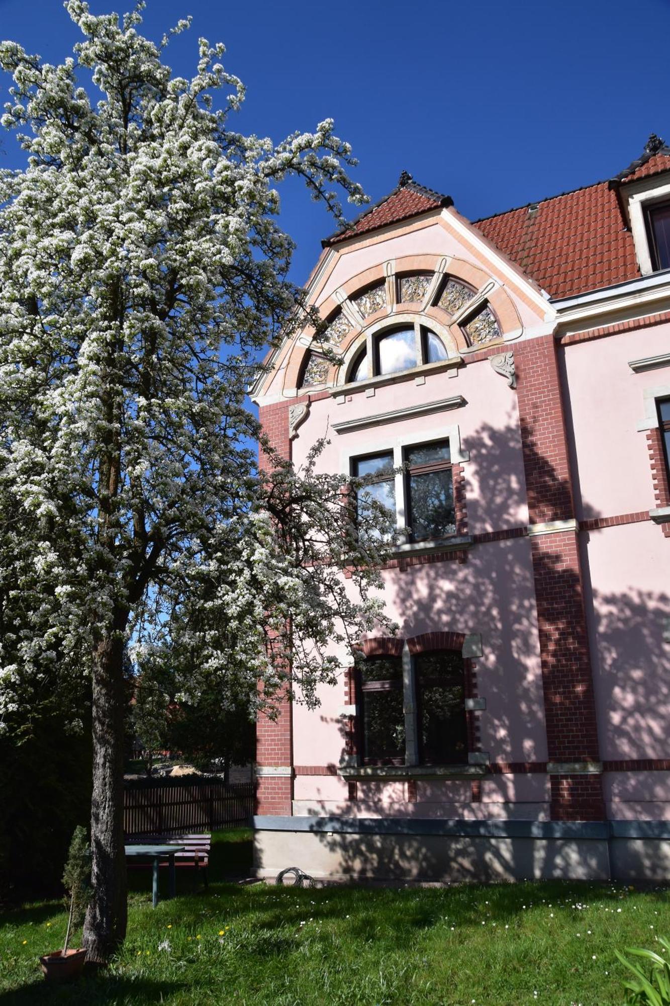 Ferienwohnung Und Pension "Zur Aue" Konigsbruck Kültér fotó
