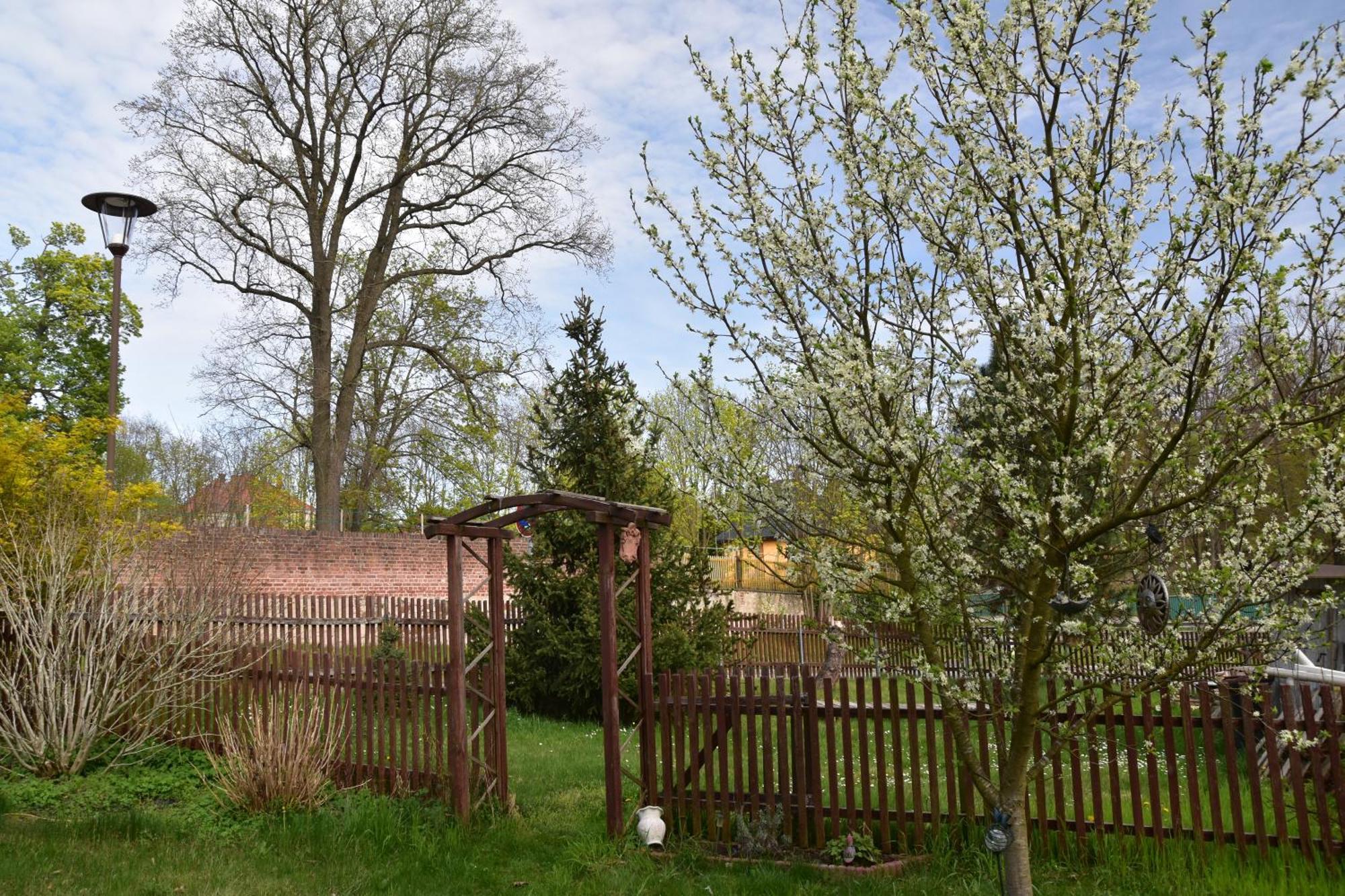 Ferienwohnung Und Pension "Zur Aue" Konigsbruck Kültér fotó